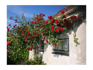 Casa per le vacanze Grijpskerke Registrazione all'aperto 2