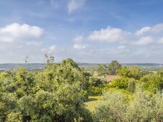 Ferienhaus Saint-Maximin-la-Sainte-Baume Umgebung 45