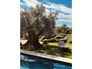 Villa La Garde-Freinet Omgeving 51