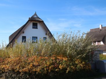 Ferienhaus Ostseeglueck