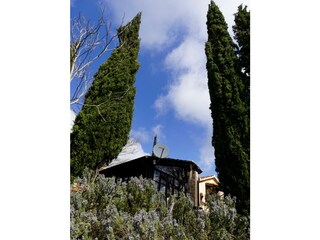 Casa per le vacanze Elmo di Sorano Registrazione all'aperto 8