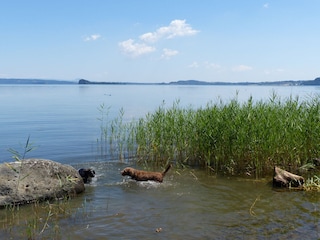 Holiday house Elmo di Sorano Environment 36