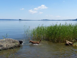 Vakantiehuis Elmo di Sorano Omgeving 36