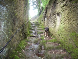 Casa per le vacanze Elmo di Sorano Ambiente 39