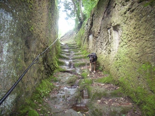 Holiday house Elmo di Sorano Environment 39