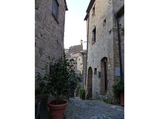 Casa per le vacanze Elmo di Sorano Ambiente 40