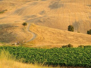 Maison de vacances Aliminusa Environnement 20