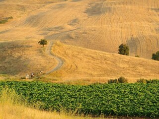 Maison de vacances Aliminusa Environnement 29