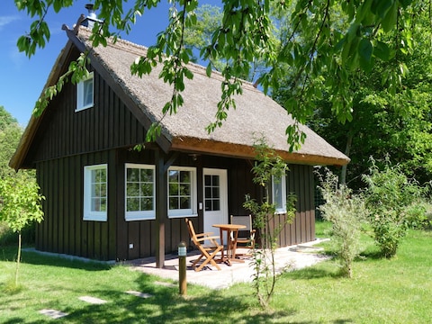 Ferienhaus Das Bienenhaus