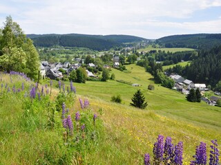 Vakantiehuis Neuhaus am Rennweg Omgeving 16