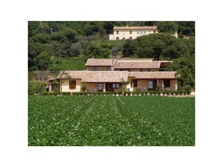 Type de propriété : Ferme Bolsena Enregistrement extérieur 5