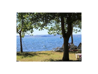 Bauernhof Bolsena Außenaufnahme 6
