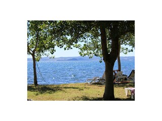 Type de propriété : Ferme Bolsena Enregistrement extérieur 6