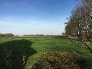 Ausblick nach hinten: Natur so weit das Auge reicht