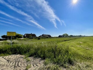 Der Westerschinkeldeich auf dem der "Kliemkiker" liegt