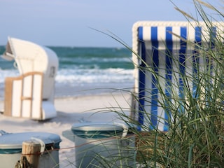 Ferienhaus Zingst Umgebung 20