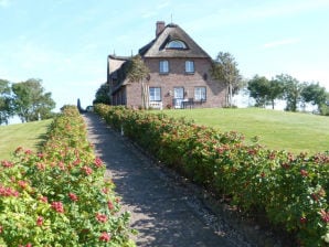 Ferienhaus Kapitänswarft - Nordfriesland - image1