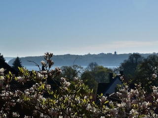 Aussicht auf die Flensburger Förde
