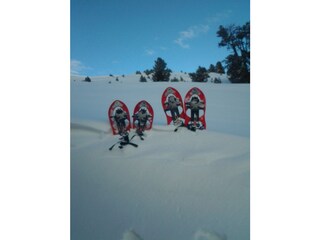 Appartamento per vacanze St. Martin in Thurn Ambiente 20