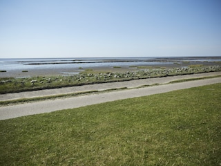 Ferienwohnung Büsum Umgebung 15