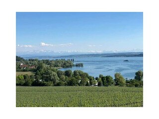 Bodensee
