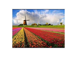Appartamento per vacanze Schoorl Ambiente 22