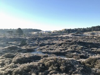 Appartamento per vacanze Schoorl Ambiente 15