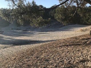 Appartamento per vacanze Schoorl Ambiente 18