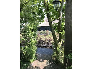 Ferienwohnung Schoorl Außenaufnahme 4