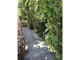 Appartamento per vacanze Schoorl Registrazione all'aperto 5