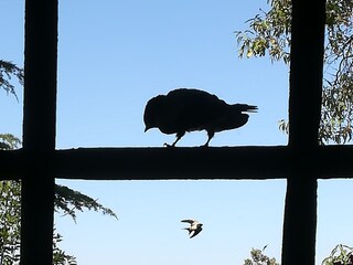 Casa per le vacanze Castellina Marittima Registrazione all'aperto 3