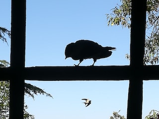 Holiday house Castellina Marittima Outdoor Recording 14