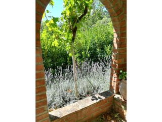 Casa per le vacanze Castellina Marittima Registrazione all'aperto 7