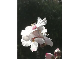 Casa per le vacanze Castellina Marittima Registrazione all'aperto 19