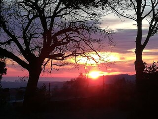 Casa per le vacanze Castellina Marittima Registrazione all'aperto 20