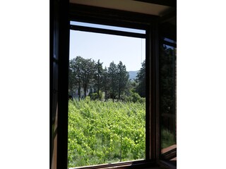 Casa per le vacanze Castellina Marittima Registrazione all'aperto 4