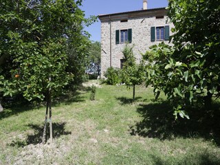 Casa per le vacanze Castellina Marittima Registrazione all'aperto 5