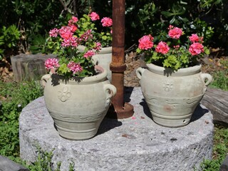 Holiday house Castellina Marittima Outdoor Recording 15