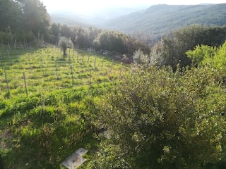 Casa per le vacanze Castellina Marittima Registrazione all'aperto 10