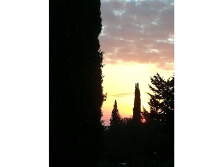 Holiday house Castellina Marittima Outdoor Recording 8