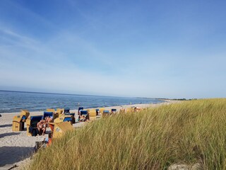 Dierhagen Strand