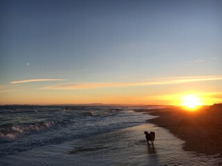 Casa per le vacanze Sérignan Ambiente 37