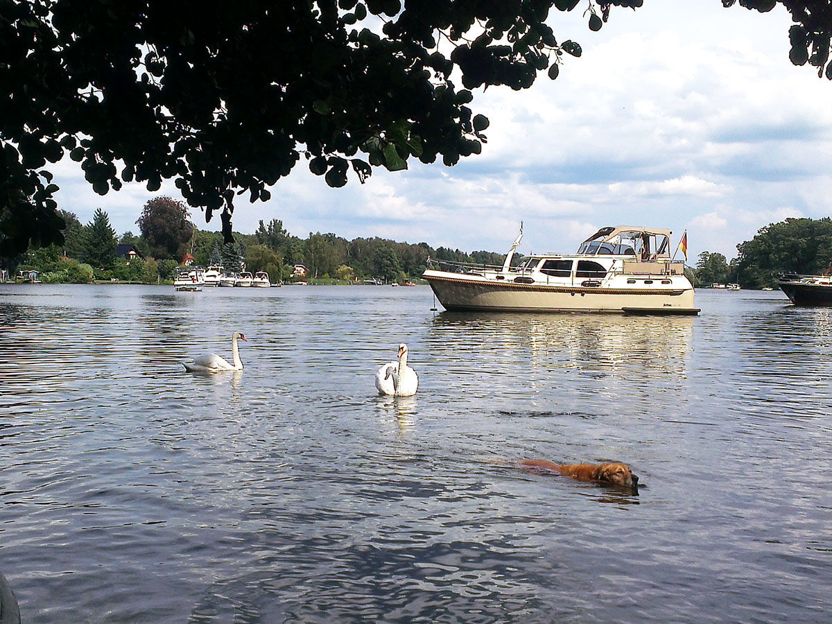 Schippern auf dem Müggelsee