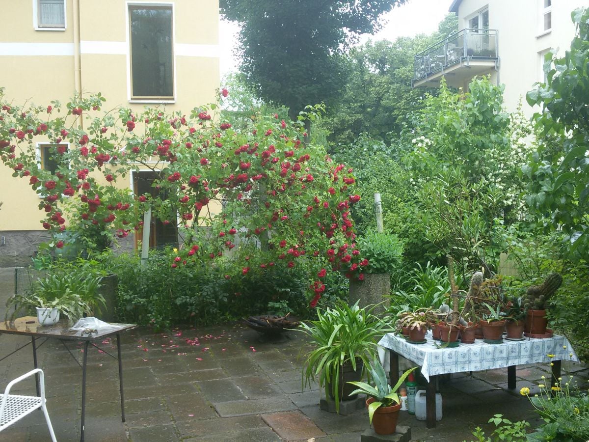 Sitzplatz 1 mit Hauseingang im Hintergrund