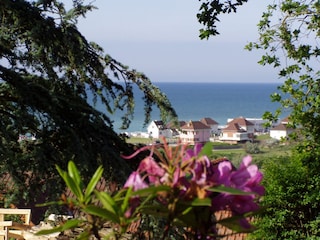 Vakantieappartement Hautot-sur-Mer Buitenaudio-opname 2