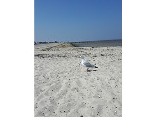 Strandidylle Neuharlingersiel