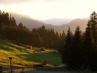 Abendstimmung auf Wanderweg