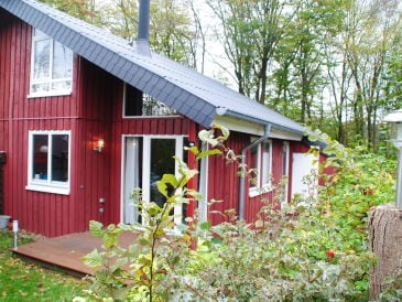 Ferienhaus IXI