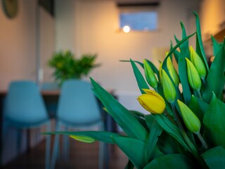 Appartamento Egmond aan Zee Caratteristiche 11