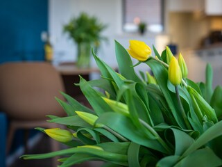 Appartamento Egmond aan Zee Caratteristiche 18